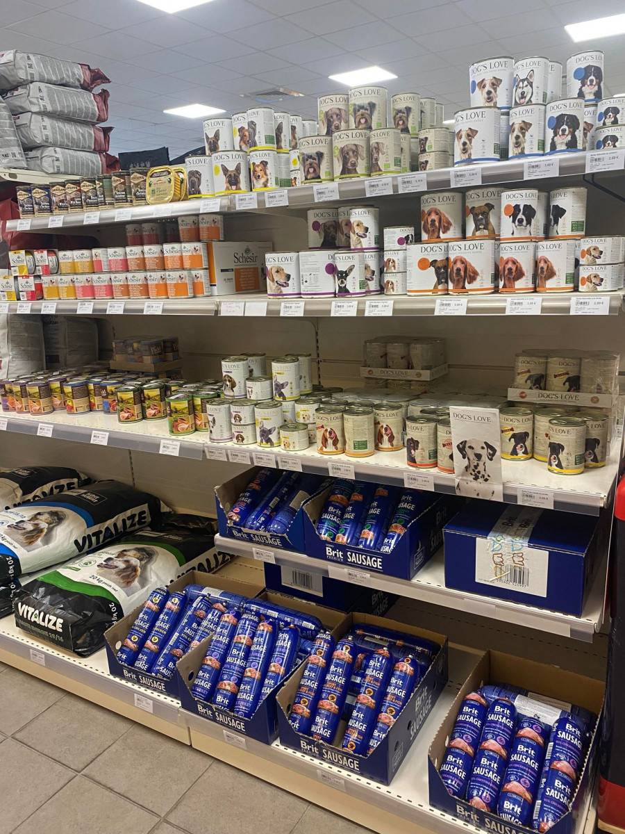 pâtée pour chien